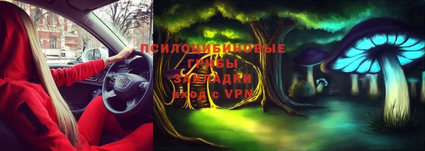 стаф Верхний Тагил