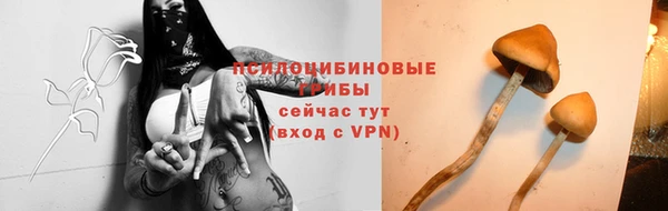 соль ск Верхнеуральск