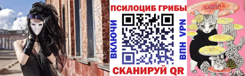 Купить закладки  Струнино  Псилоцибиновые грибы Magic Shrooms 